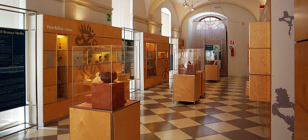 Museo di Paleontologia e paletnologia 'D.De Lorentiis'