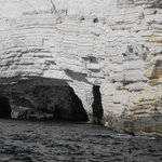 Visita alle Grotte Marine  dal porto    a Vieste
