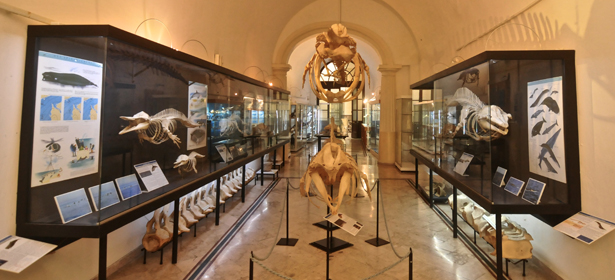 Museo del mare