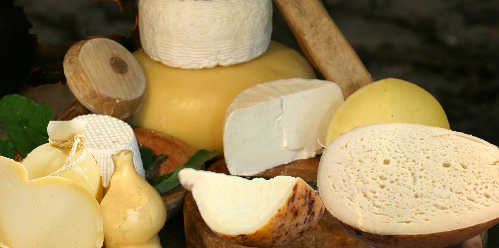 I formaggi del Gargano 