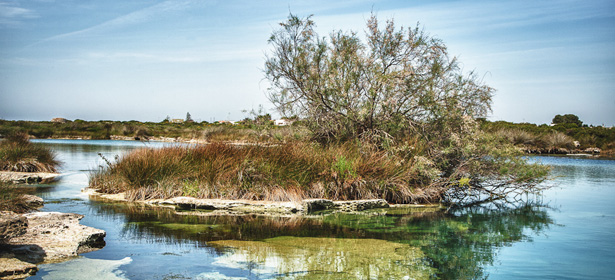 Parco Naturale Regionale Porto Selvaggio e Palude del Capitano