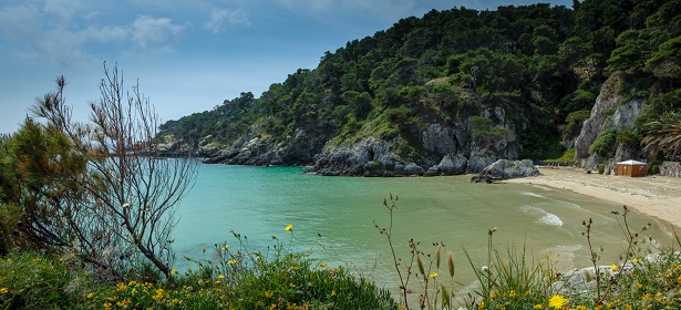 San Domino e Cala delle Arene