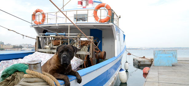 Porto nuovo di Bari