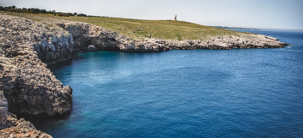 Siti d'importanza comunitaria Torre dell'Orso e Palude dei Tamari