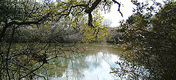 Riserva Naturale Regionale Orientata Boschi di Santa Teresa e dei Lucci