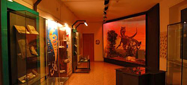 Museo Provinciale di Storia Naturale