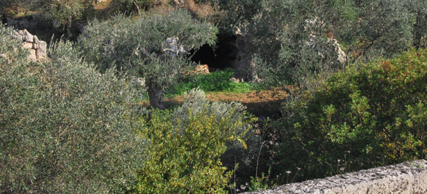 Canale San Vincenzo