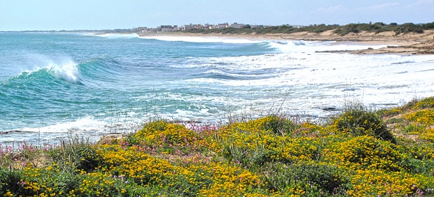 Riserva Naturale Orientata Regionale «Palude del Conte e Duna Costiera - Porto Cesareo»