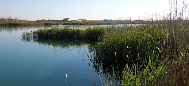 Parco Naturale Regionale Bosco e Paludi di Rauccio - Sorgenti Idume