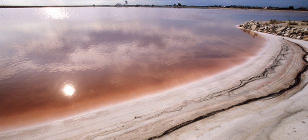 Saline di Margherita di Savoia