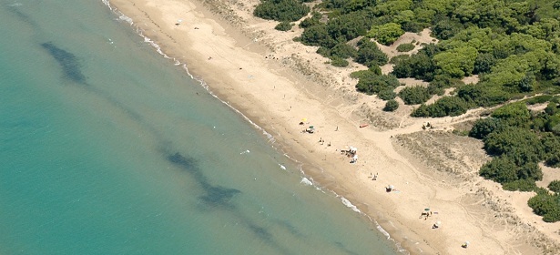 Capoiale - Isola di Varano