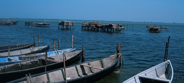 Lago di Lesina