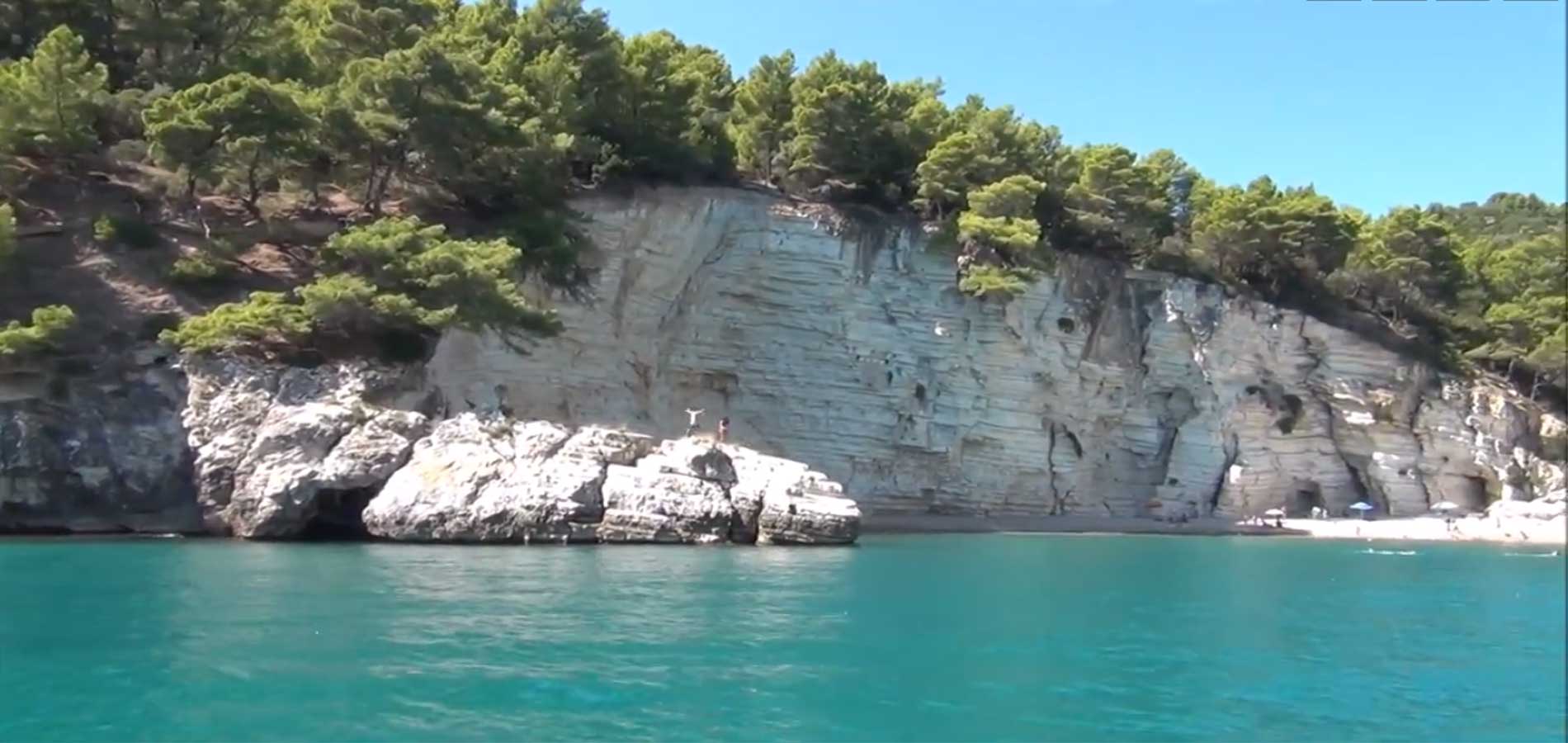 Pini d'aleppo sulla roccia calcarea del Gargano