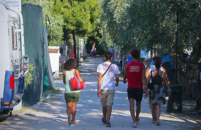 DEGLI ULIVI