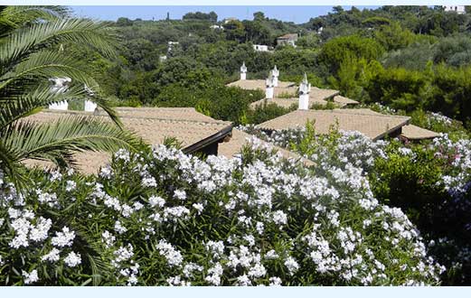 VILLAGGIO MOLINO DI MARE